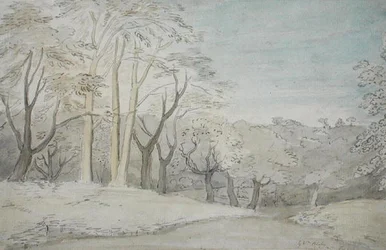 A Woody Landscape, c.1801